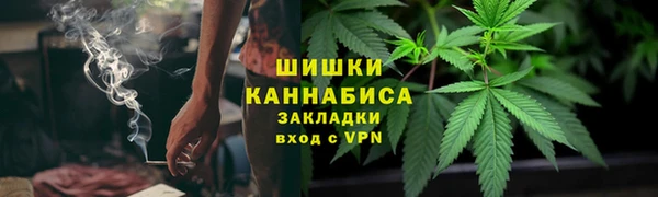 соль ск Дмитров