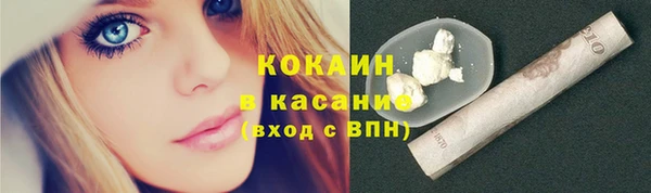 соль ск Дмитров