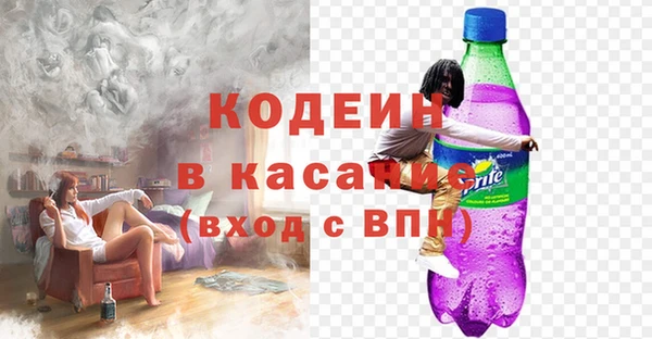 соль ск Дмитров